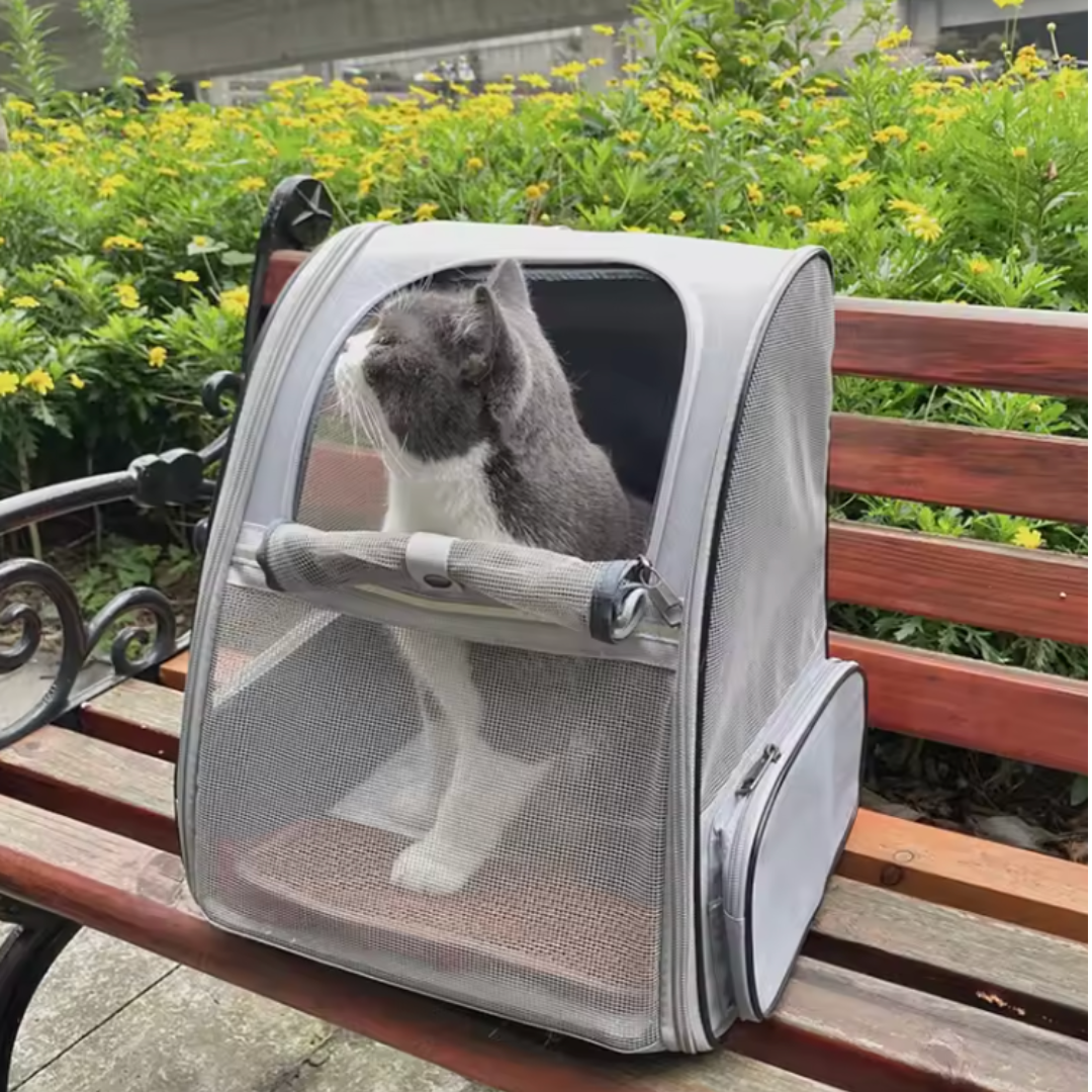 Mochila para transportar gatos adultos y gatitos – Havresacs