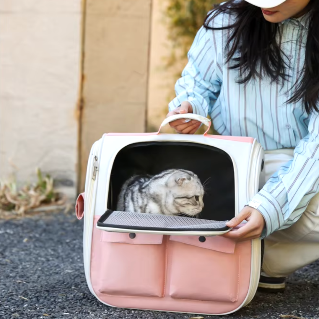 Mochila plegable para gatos, almacenamiento fácil – Havresacs