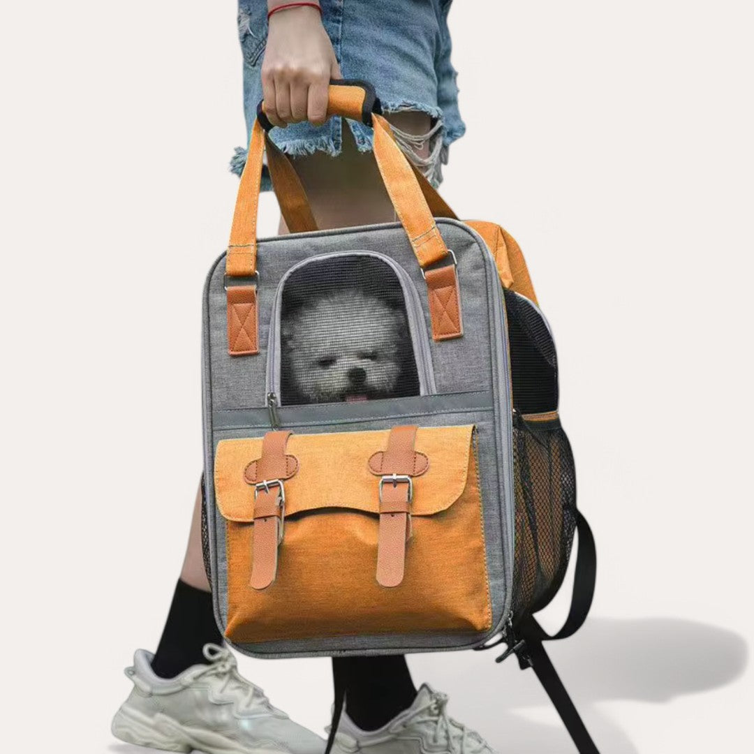 Mochila para perros y gatos de hasta 10 kg, ideal para viajar