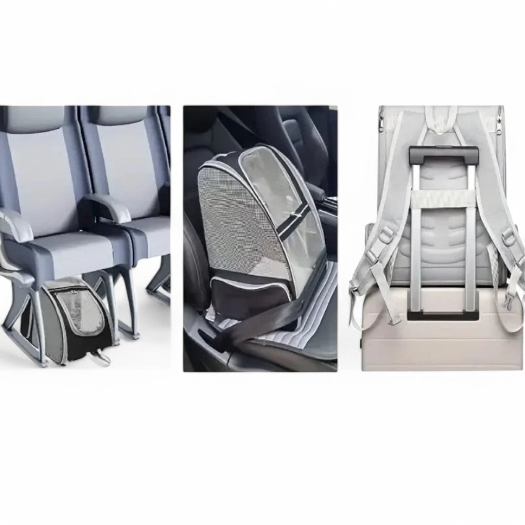 Mochila para transportar gatos adultos y gatitos – Havresacs