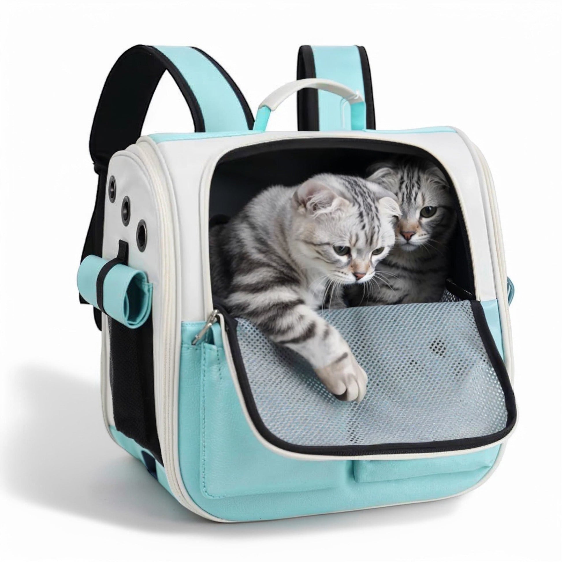 Foto de Mochila à espalda pour chat pliable et ventilé ConfortCha...