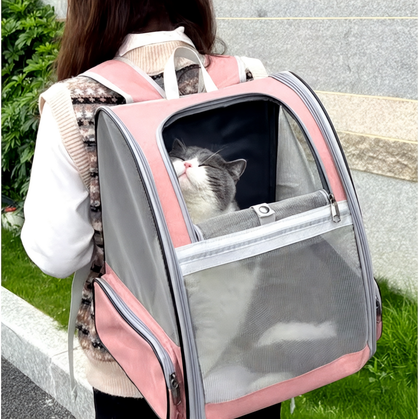 Mochila para transportar gatos adultos y gatitos – Havresacs