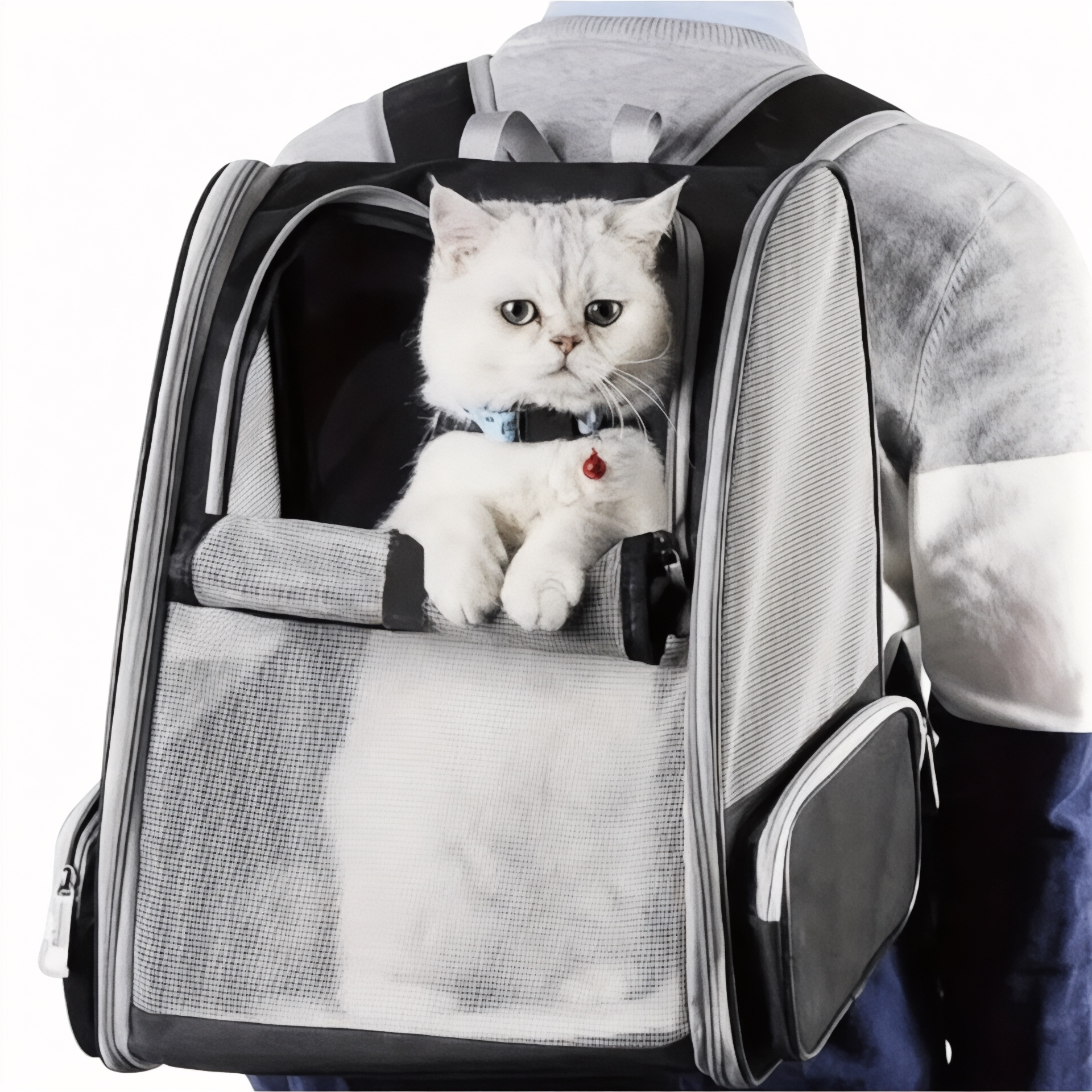 Foto de Mochila à espalda pliable et respirant pour chat ConfortC...