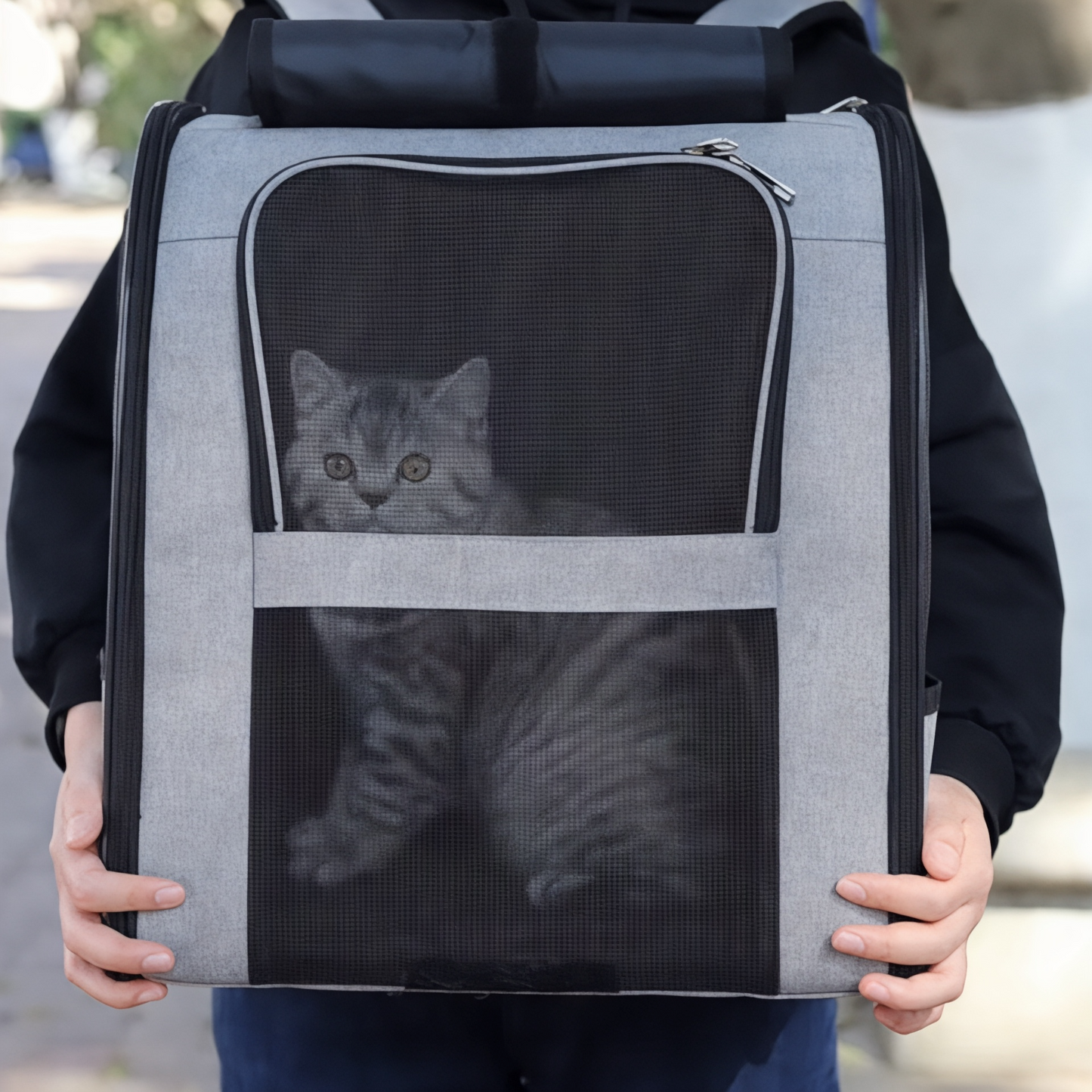 Mochila para gato adulto de gran capacidad, hasta 10 kg – Havresacs