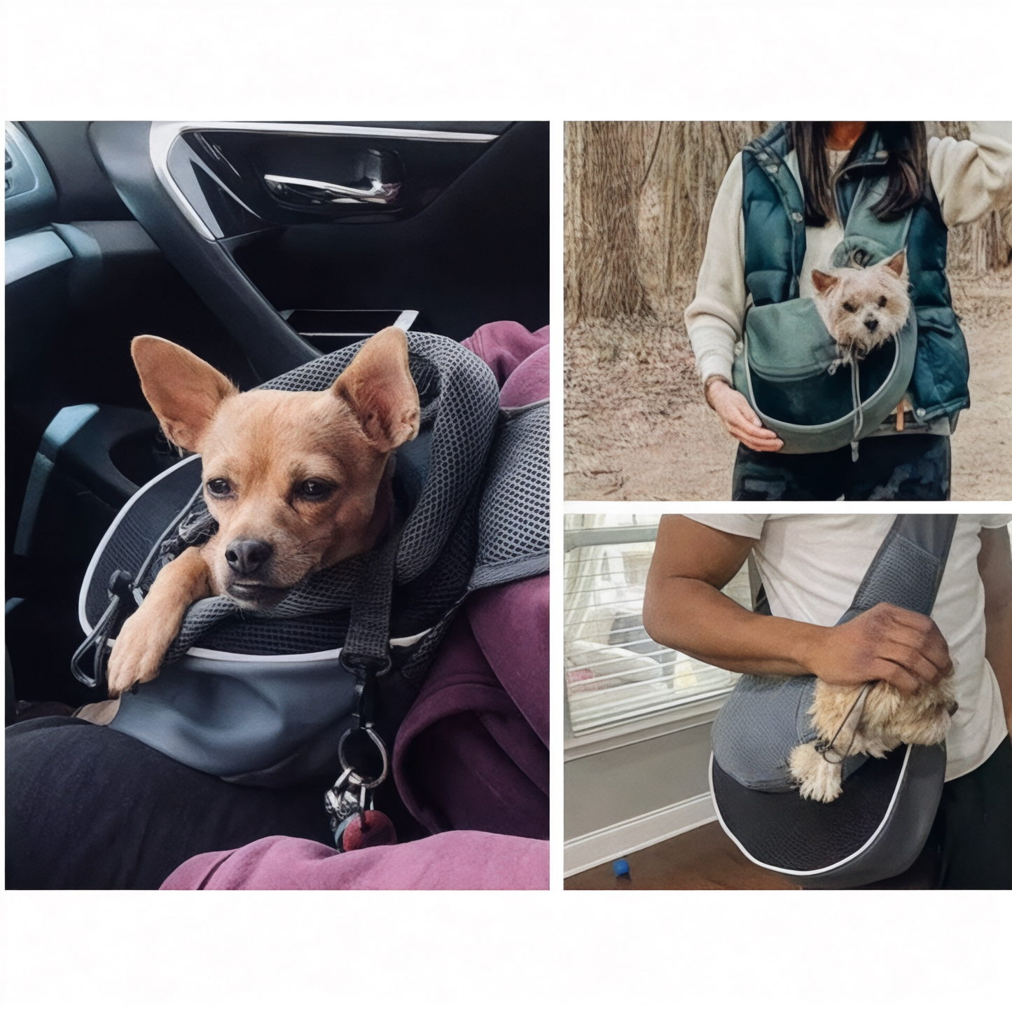 Bolsa bandolera transpirable para perro de hasta 4,5 kg – Havresacs