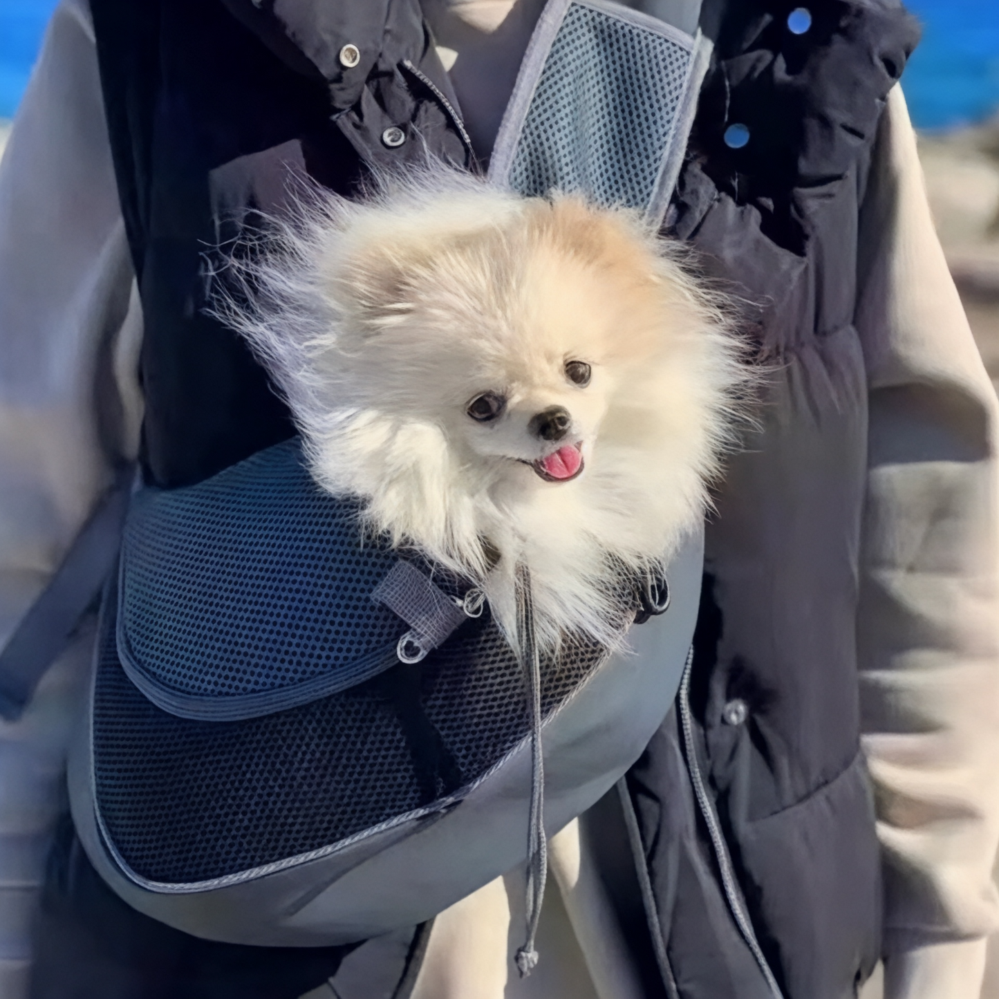 Foto de Mochila bandoulière respirant pour chien EasyDog – Havresacs
