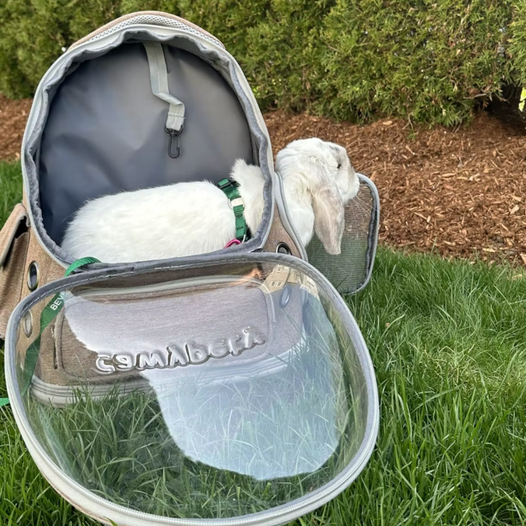 Mochila transparente plegable para mascotas TranspaPet – Havresacs
