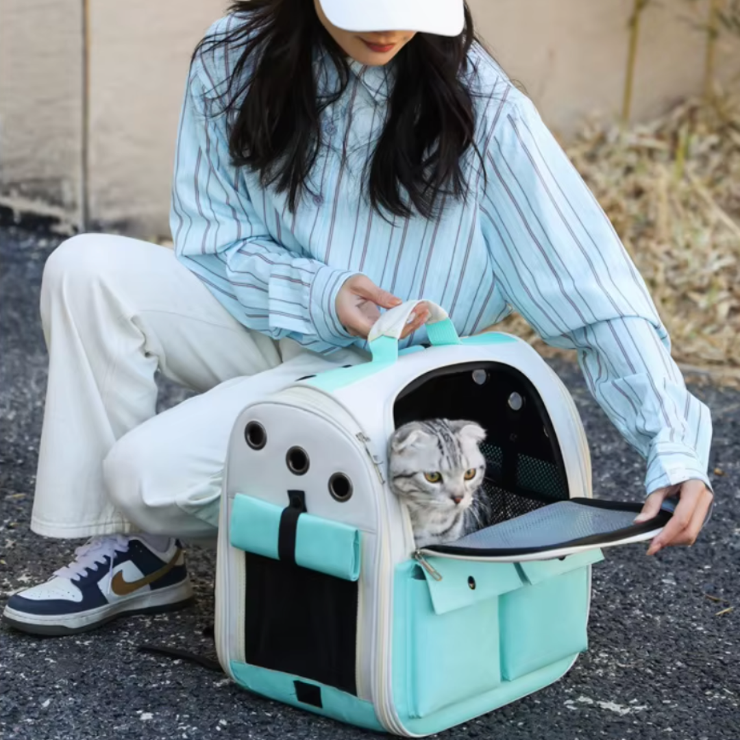 Mochila plegable para gatos, almacenamiento fácil – Havresacs