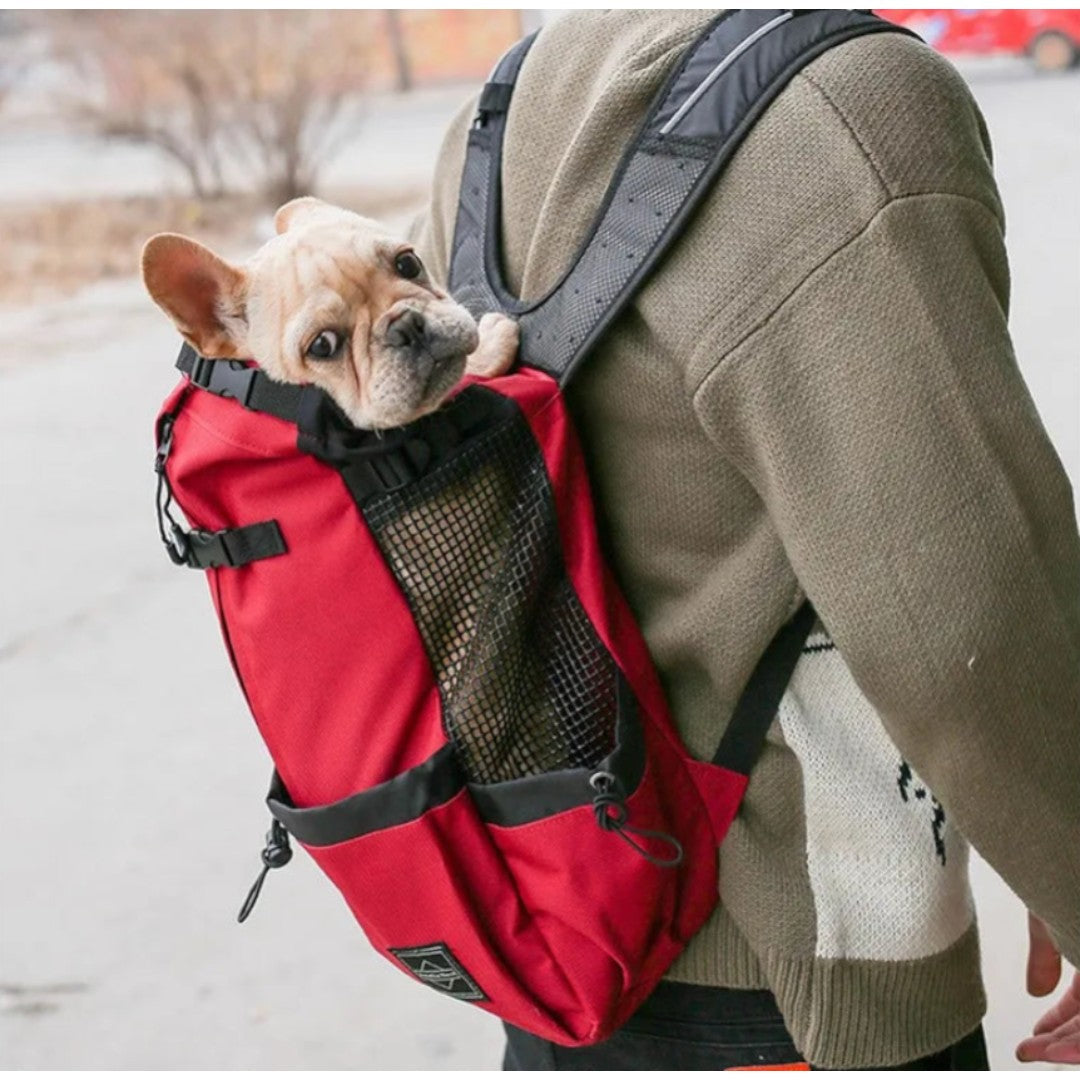 Mochila robusta para mascotas de hasta 30 kg GrandConfort – Havresacs