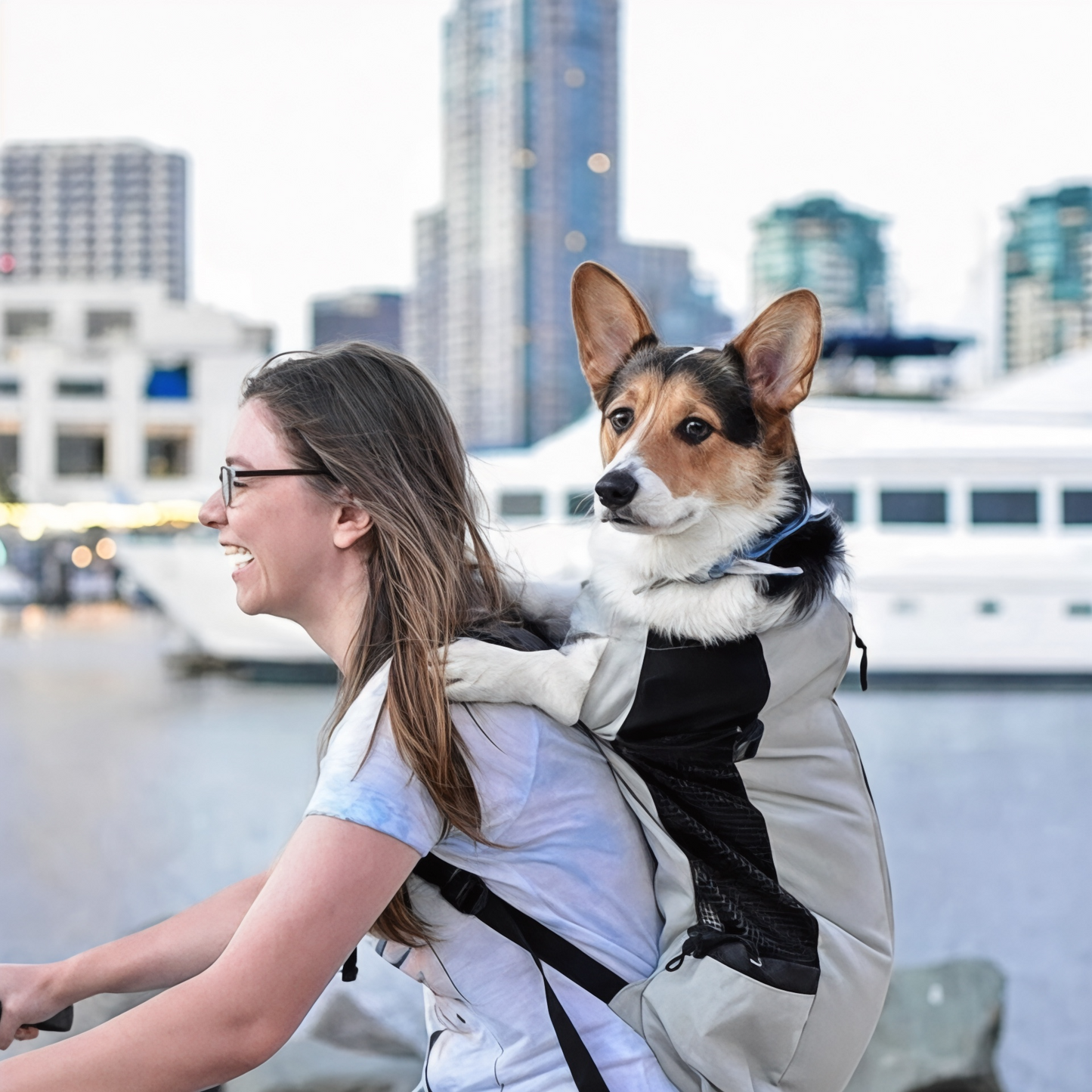 Mochila robusta para mascotas de hasta 30 kg GrandConfort – Havresacs